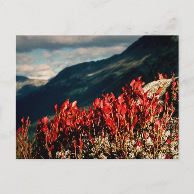 PRAYER POSTKARTE (Vorderseite)