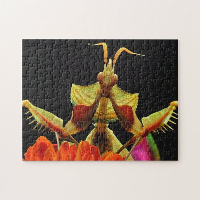 Praying Mantis Flowers Puzzle (Horizontal)