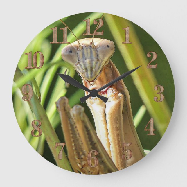 Praying Mantis Große Wanduhr (Vorderseite)