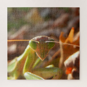 Praying Mantis Insect Macro Nature Foto Puzzle