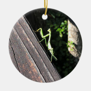 Praying Mantis Keramik Ornament
