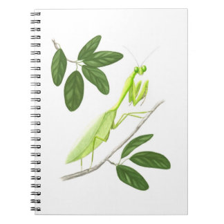 Praying Mantis-Notebook Notizblock