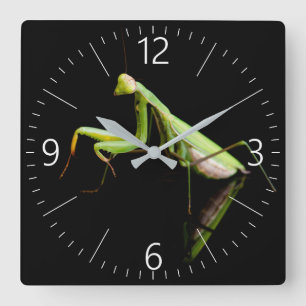 Praying mantis quadratische wanduhr
