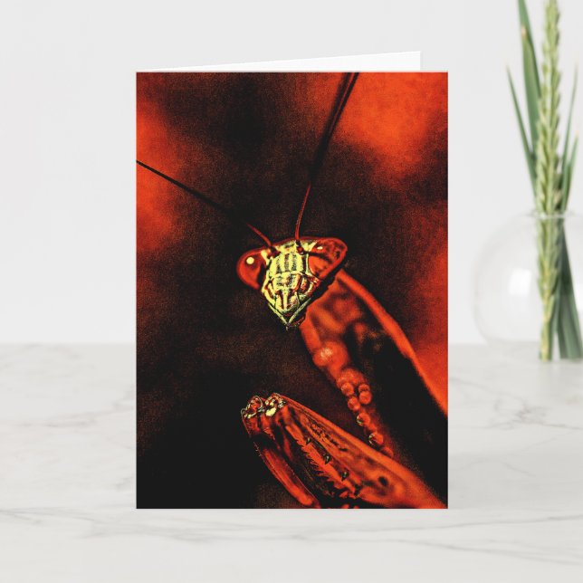 Praying Mantis - Red Nightmare Karte (Vorderseite)