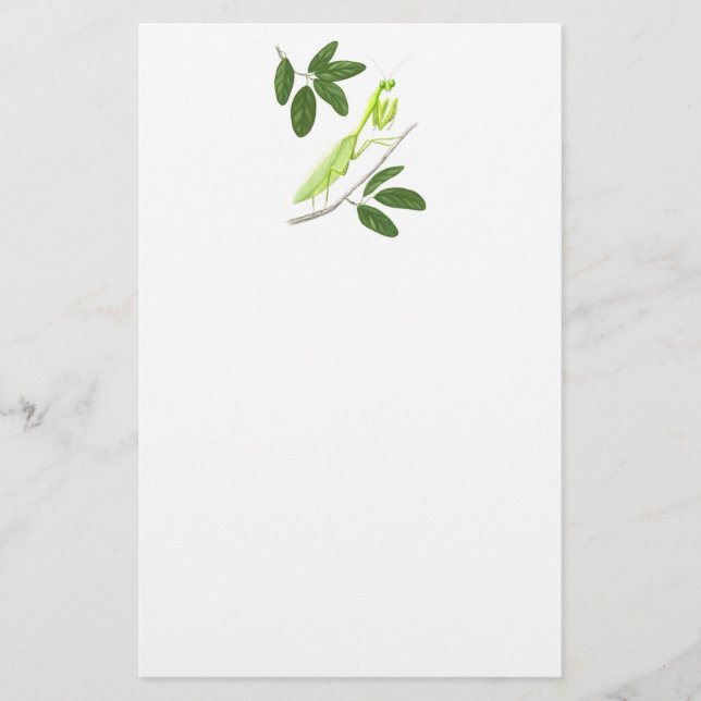 Praying Mantis Stationery Briefpapier (Vorderseite)