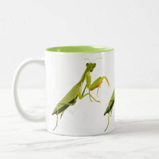Praying Mantis Zweifarbige Tasse