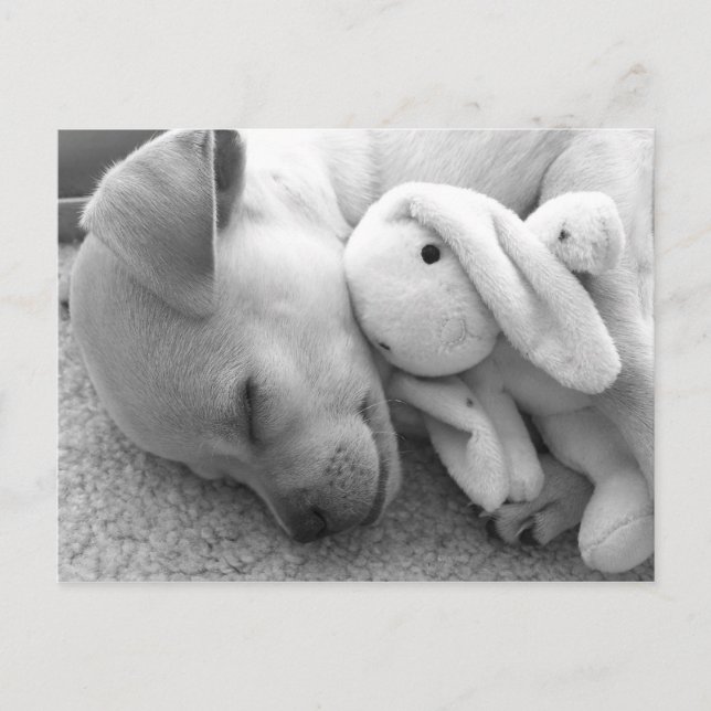 PRECIOUS PUPPY MOMENT POSTKARTE (Vorderseite)