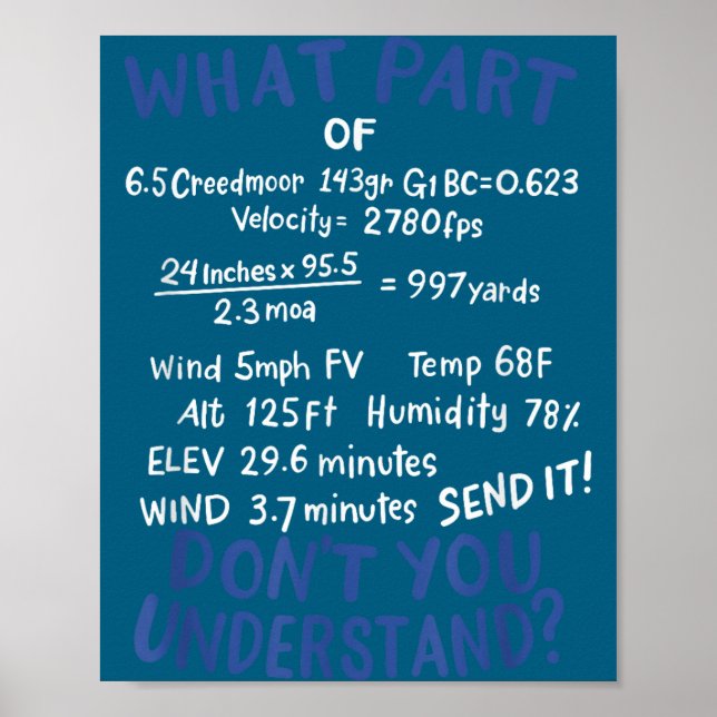 Precision Shooting Funny Gun Shooting Srts Gun Lov Poster (Vorne)