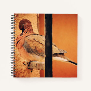 Preening Dove Notizbuch