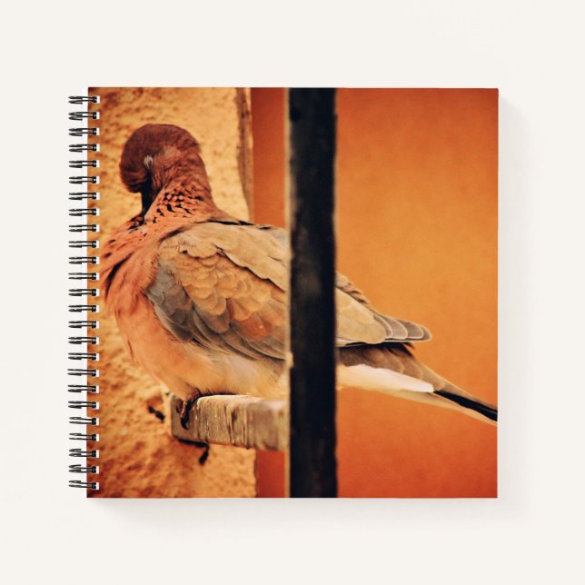 Preening Dove Notizbuch (Vorderseite)