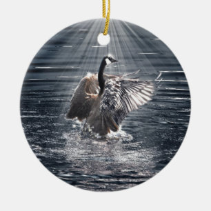 Preening, Flapping Wild Canada Goose Design Keramikornament