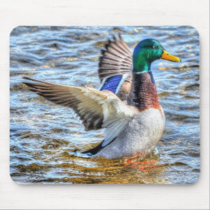 Preening Mallard Duck Birdlover Wildlife Mousepad