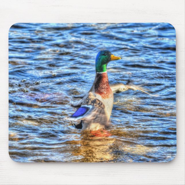 Preening Mallard Duck Birdlover Wildlife Mousepad (Vorne)
