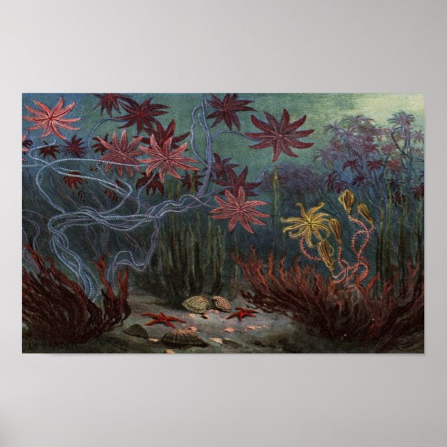 Prehistoric Ocean Poster (Vorne)