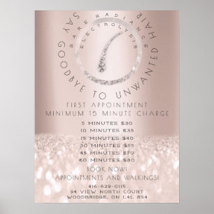 Preisliste Elektrolyse Haarentfernung Rose Beauty Poster