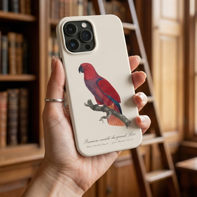 Premiere variete du grand Lori / Eclectus parrot Case-Mate iPhone Hülle (Vosmaer Eclectus Parrot, Eclectus Roratus Vosmaeri. iPhone Case)