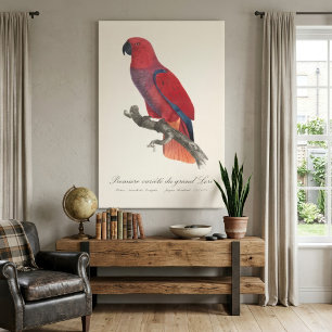 Premiere variete du grand Lori / Eclectus parrot Leinwanddruck