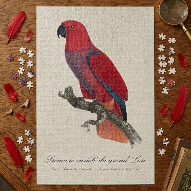 Premiere variete du grand Lori / Eclectus parrot Puzzle (Vosmaer Eclectus Parrot, Eclectus Roratus Vosmaeri. Jigsaw Puzzle)