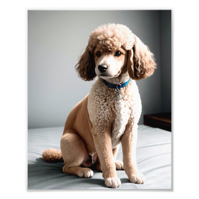 Premium Fine Art Dog Photography for Pet Lovers Fotodruck (Vorne)