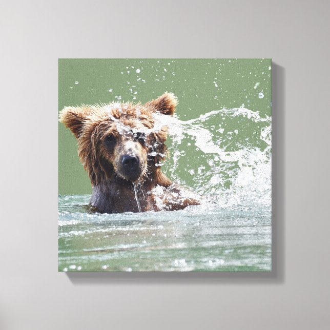 Premium gepackt Canvas 12x12 mit Grizzlybär Leinwanddruck (Vorderseite)