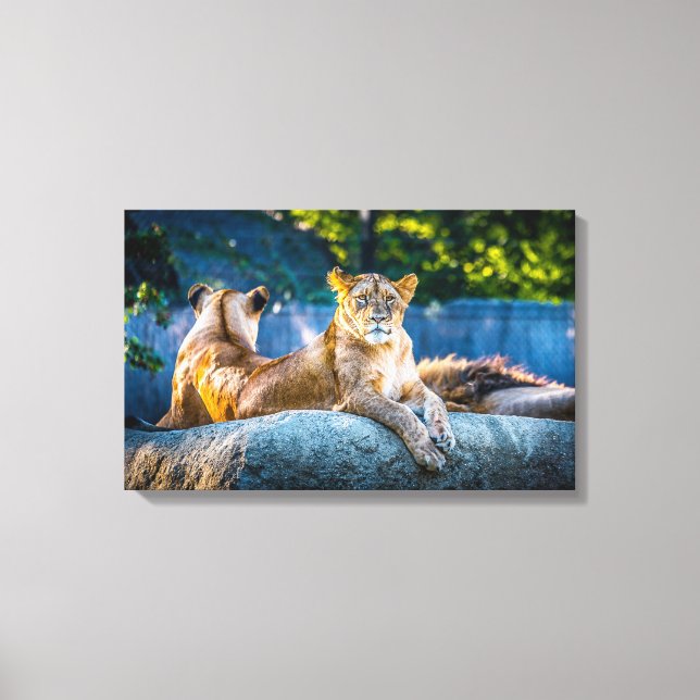 Premium-Leinwand in Giclee Leinwanddruck (Vorderseite)