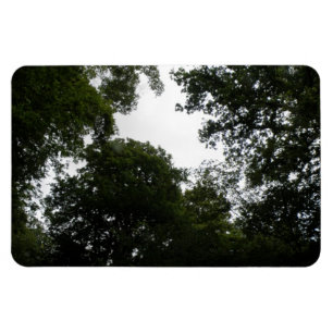 Premium-Magnet für Creepy Forest Magnet