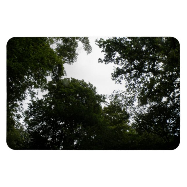 Premium-Magnet für Creepy Forest Magnet (Horizontal)