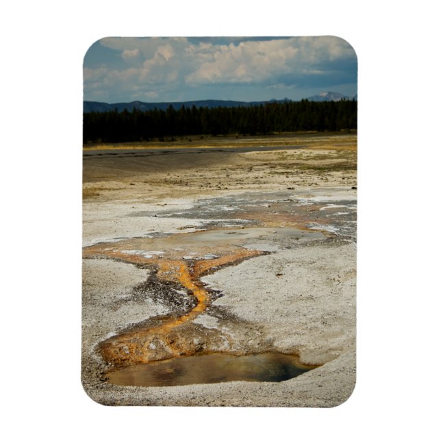 Premium-Magnet für gestrichene Grands Magnet (Vertikal)