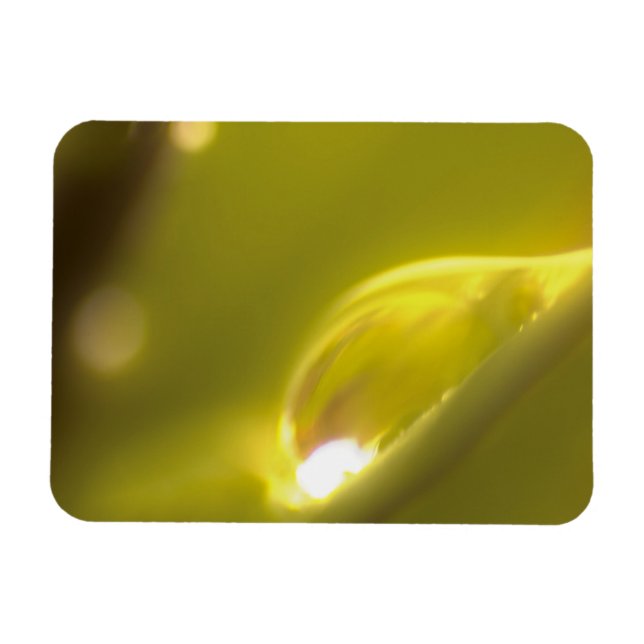 Premium-Magnet für Wassertropfen 3 Magnet (Horizontal)