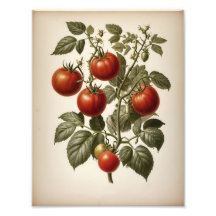 Premium Satin-Fotopapier-Fotovergrößerung