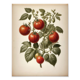 Premium Satin Photo Paper Photo Enlargement Fotodruck