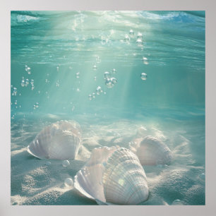 Premium Seafoam Grün Muschel Kunst Druck Poster