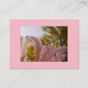 Premium Silk Pink Lilie Visitenkarte