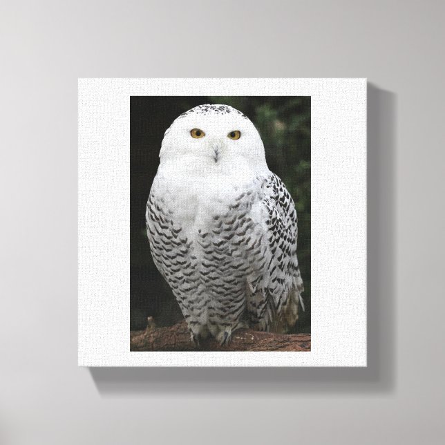 Premium Wrapped Canvas (Glanz) Leinwanddruck (Vorderseite)