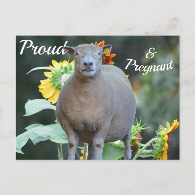 Prenounctions Card Quaint Ankündigungspostkarte (Vorderseite)