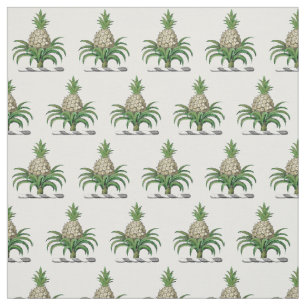 Preppy Heraldische Ananas Wappen Crest Stoff