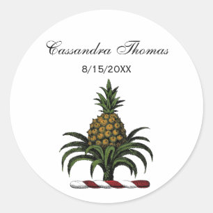 Preppy heraldische Ananas-Wappen-Farbe RWT Runder Aufkleber