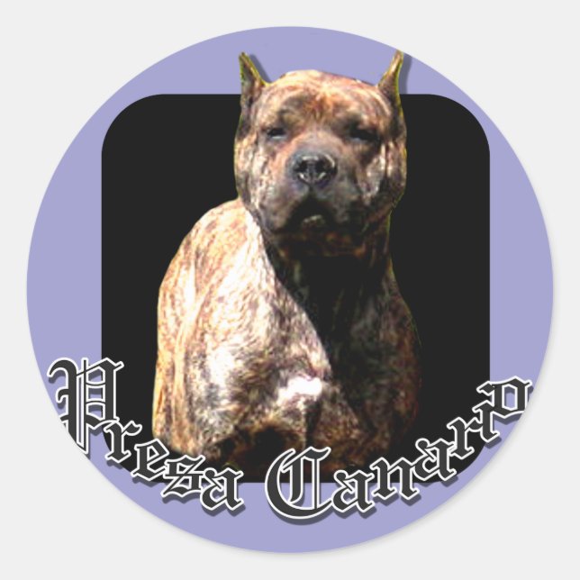 Presa Canario Aufkleber (Vorderseite)
