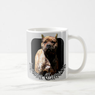 Presa Canario-Tasse Tasse