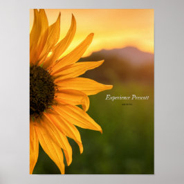 Prescott für Seitenblicke Poster