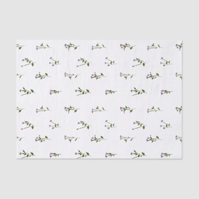 PRESSED BLUME - Chickweed Willoworb - offen Seidenpapier (Vorderseite)