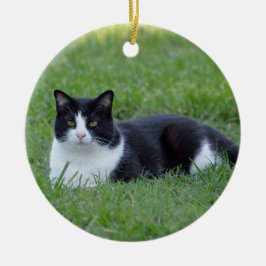 Pretty Black and White Tuxedo Cat Photo Keramik Ornament