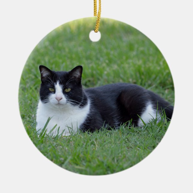 Pretty Black and White Tuxedo Cat Photo Keramik Ornament (Vorne)