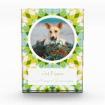 Pretty Blue Green Pet Cat Dog Memorial Keepsake