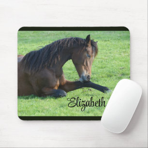 Pretty Brown Horse Laying in the Grass Mousepad