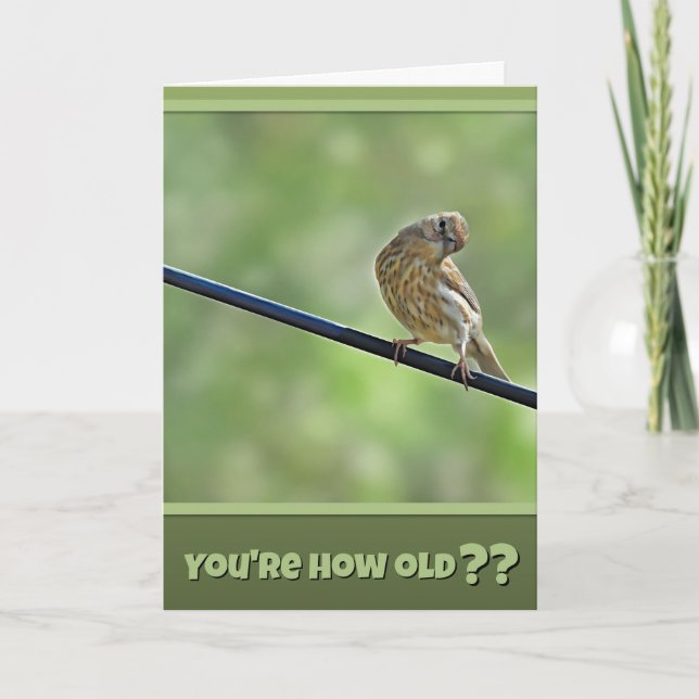 Pretty Cute for An Old Bird Birthday Card Karte (Vorderseite)