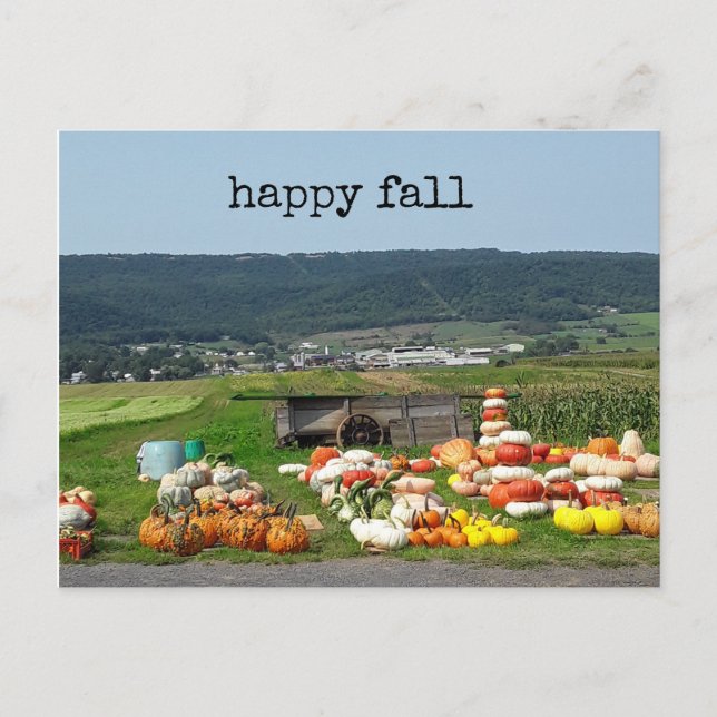 pretty fall pumpkin farm post card postkarte (Vorderseite)