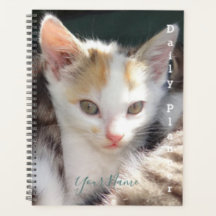 Pretty Kitty - Täglicher Planer- HAMbWG Planer