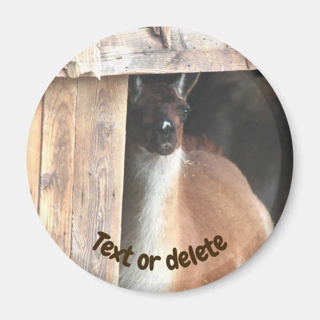 Pretty Llama Farm Animal Personalized Magnet (Vorne)
