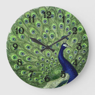 Pretty Peacock Große Wanduhr